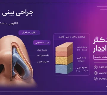 آناتومی ساختار بینی گوشتی و ضخامت لایه‌های پوستی در مقایسه با بافت غضروفی در عمل بینی گوشتی